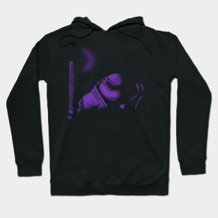 Purple Turtle Hoodie